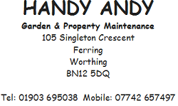 Handy Andy