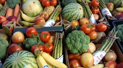 Worthing Direct Leaflet Distribution Services - Fruit & Veg Shoreham